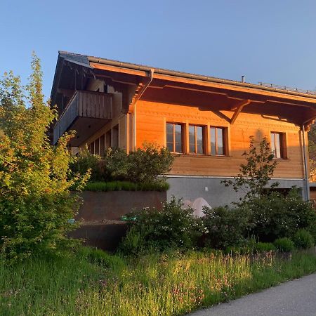 Chalet Park Apartment Mit Sauna Hamam Diemtigen Kültér fotó