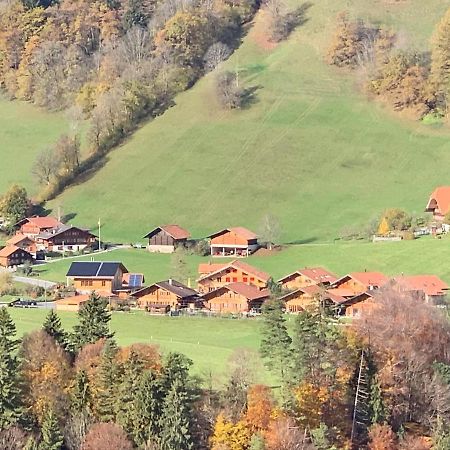 Chalet Park Apartment Mit Sauna Hamam Diemtigen Kültér fotó