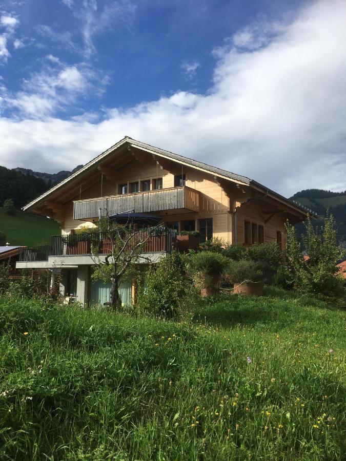 Chalet Park Apartment Mit Sauna Hamam Diemtigen Kültér fotó