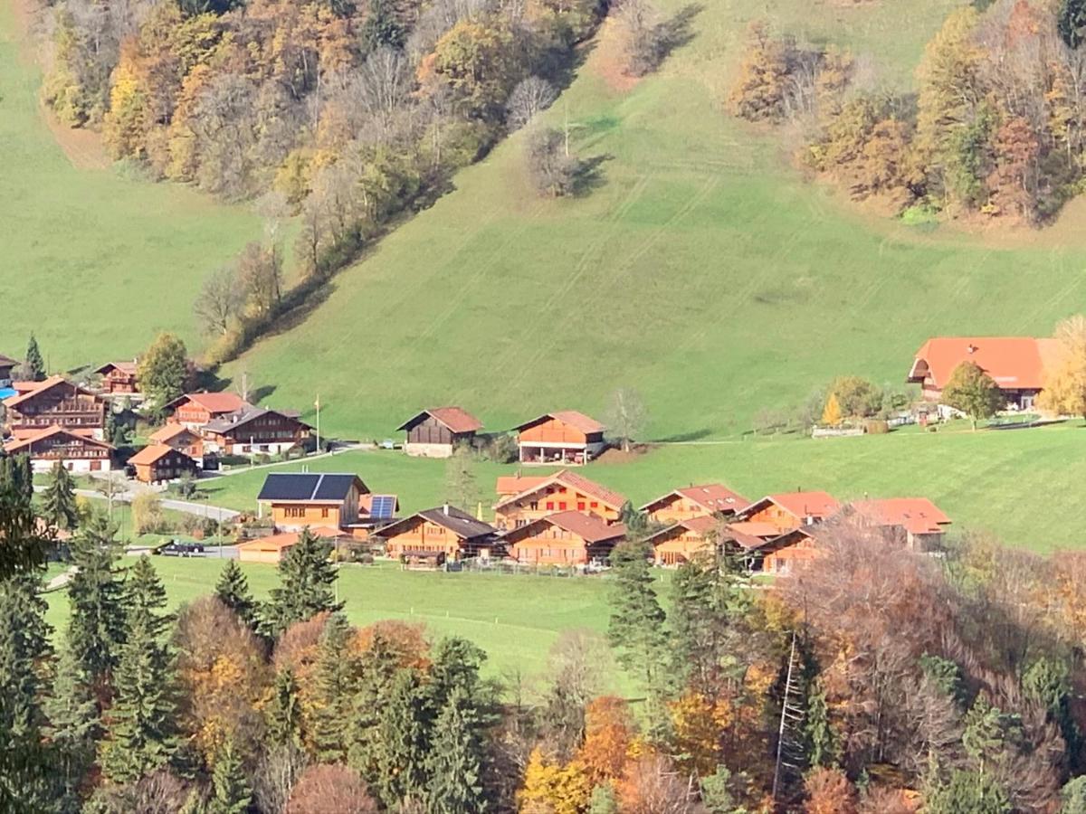 Chalet Park Apartment Mit Sauna Hamam Diemtigen Kültér fotó